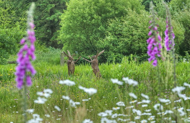 Orroland Lodge - Photo 28