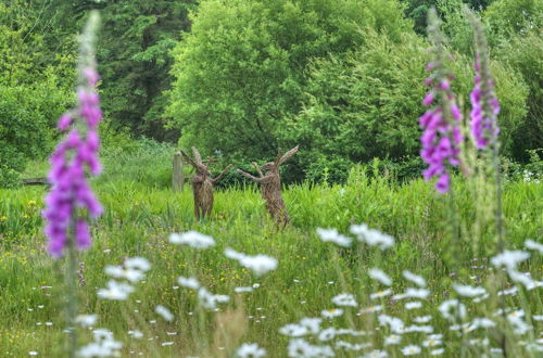 Photo 28 - Orroland Lodge