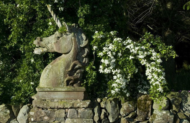 Orroland Lodge - Photo 32