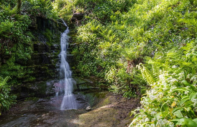 Orroland Lodge - Photo 29