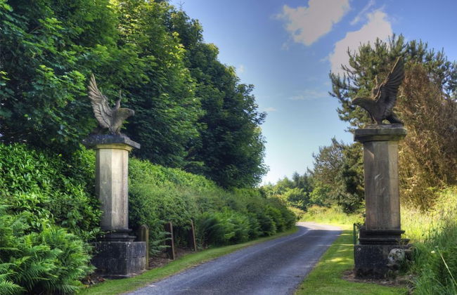 Orroland Lodge - Photo 30