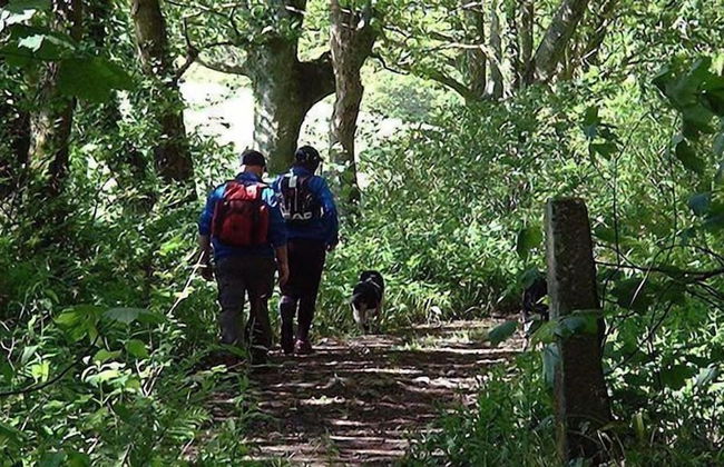 Orroland Lodge - Photo 35