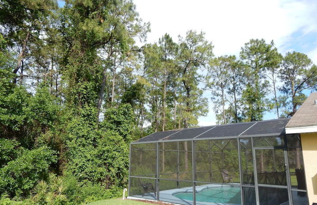 Tree Top Retreat - Foto 21