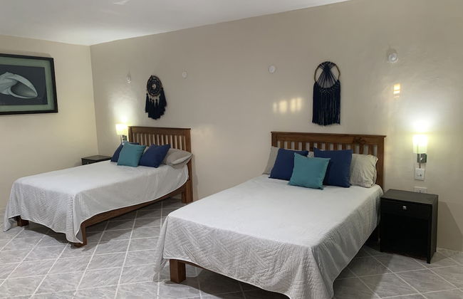 Alojamiento en Cancún StayCancún - Foto 3