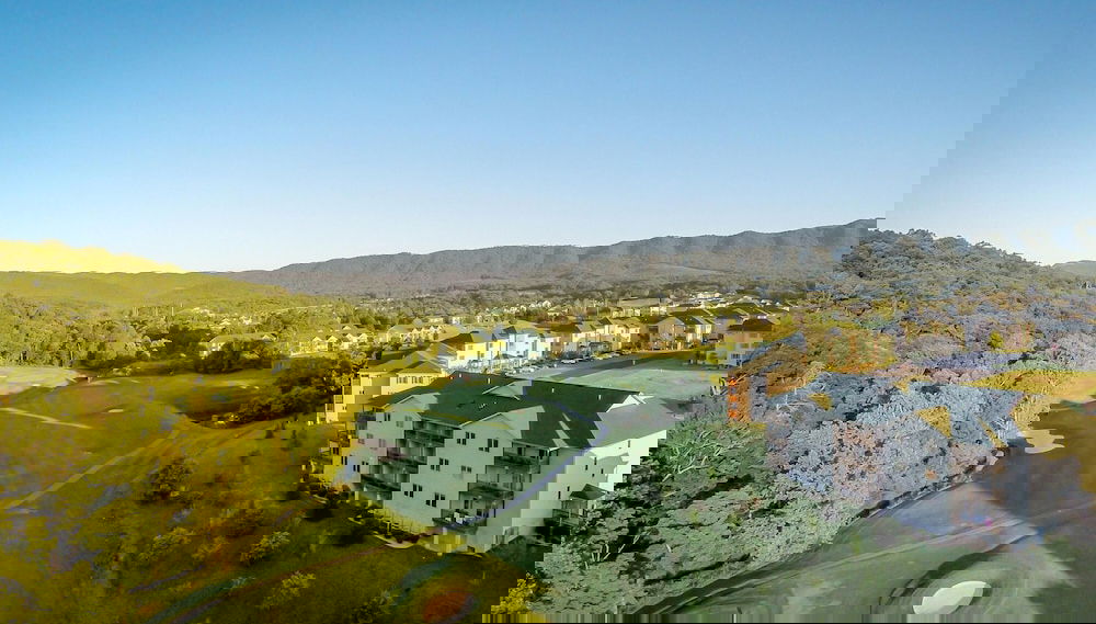 Primary image