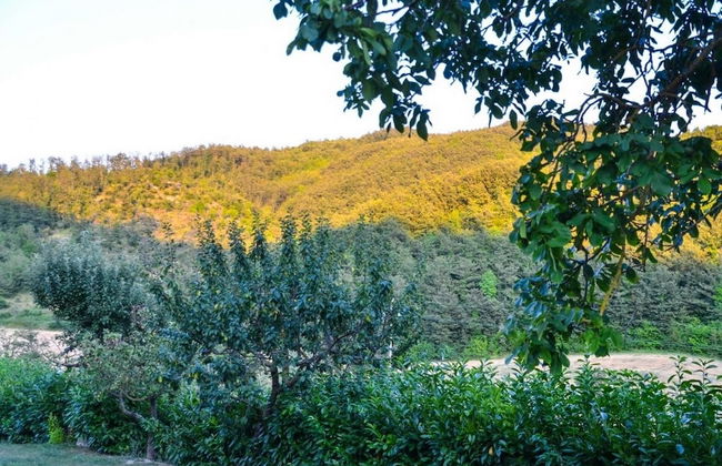 Agriturismo Cailuca - Foto 43