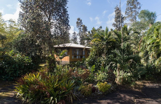 Peace Of Paradise 1 Bedroom Cabin by RedAwning - Foto 25