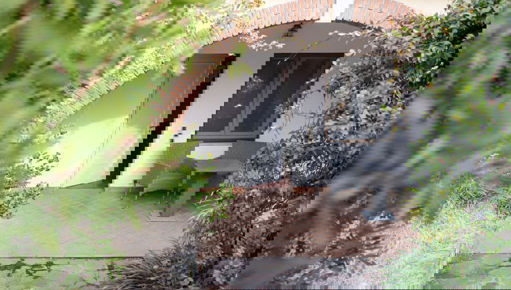 Imagem principal