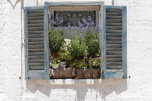 Photo 25 - Masseria Verbena