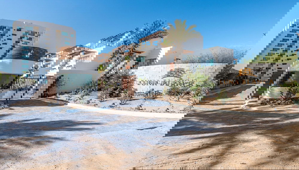 Image principale