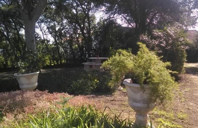 Nature Houses - Foto 40