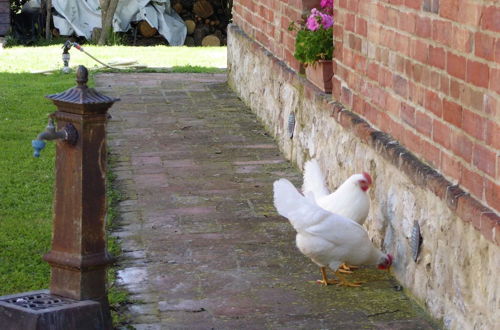 Foto 23 - Belvilla by OYO Farmhouse in Tuscany With Garden