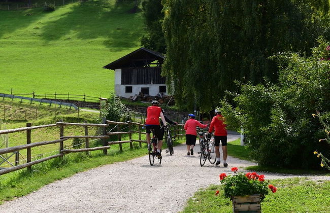 Apparthotel Gartenresidence Nalserhof - Foto 60