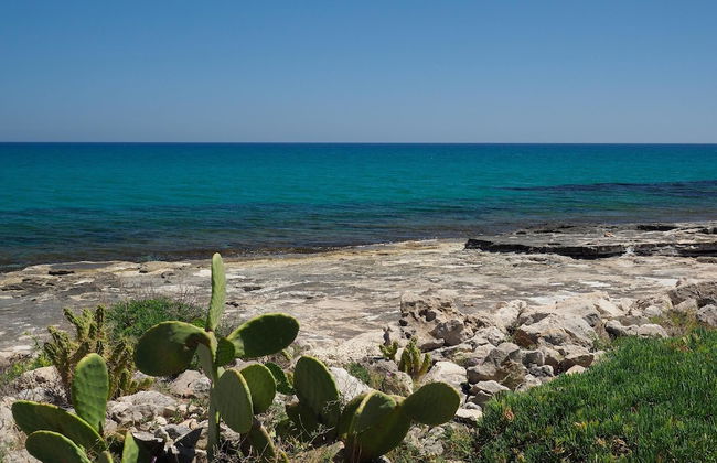 Cala Sol - Lavanda - Foto 19