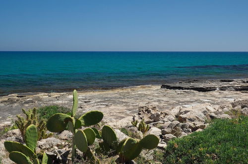 Photo 19 - Cala Sol - Lavanda