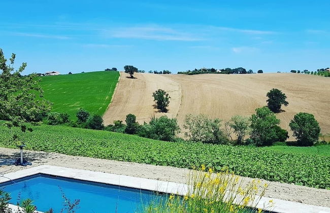 Villa Santa Elisabetta - Photo 14