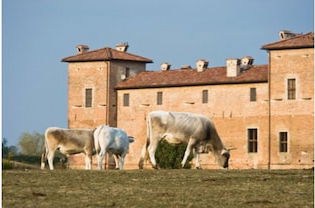 Photo 21 - Antica Corte Pallavicina