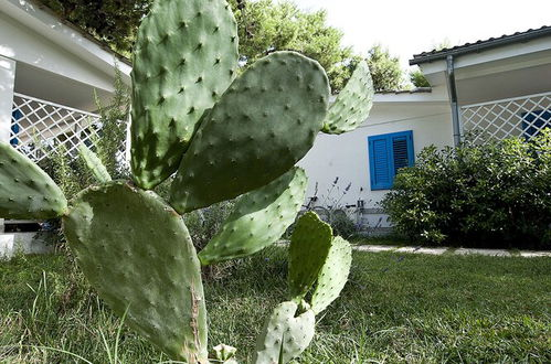 Photo 56 - Villaggio Le Orchidee