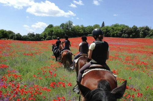 Foto 6 - Agriturismo San Filippo