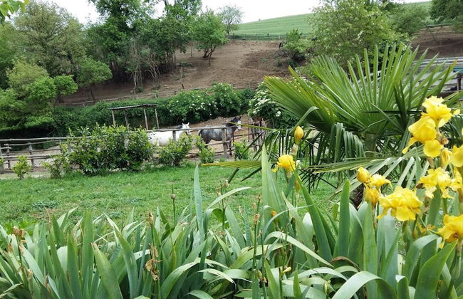 Agriturismo San Filippo - Foto 19