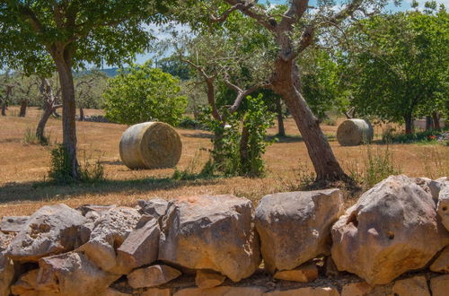 Photo 22 - I Trulli di Annetta