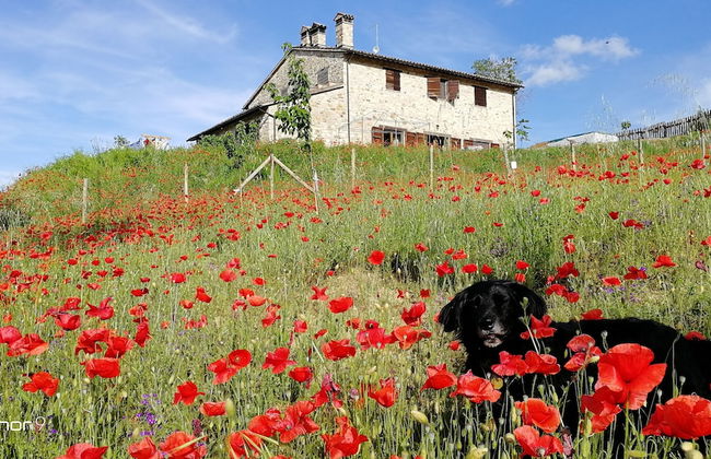 Casale Le Orme - Foto 16