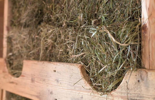 Maso Del Fieno - Foto 33