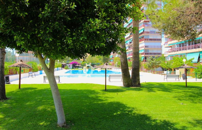 Apartamento las Olas - Foto 25