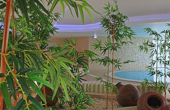 Vila Petra - Foto 31