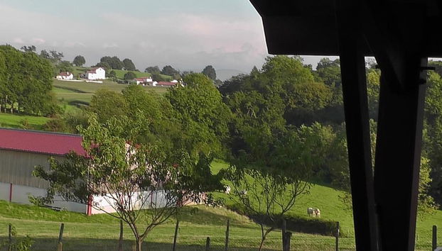 Ausblick vom Zimmer