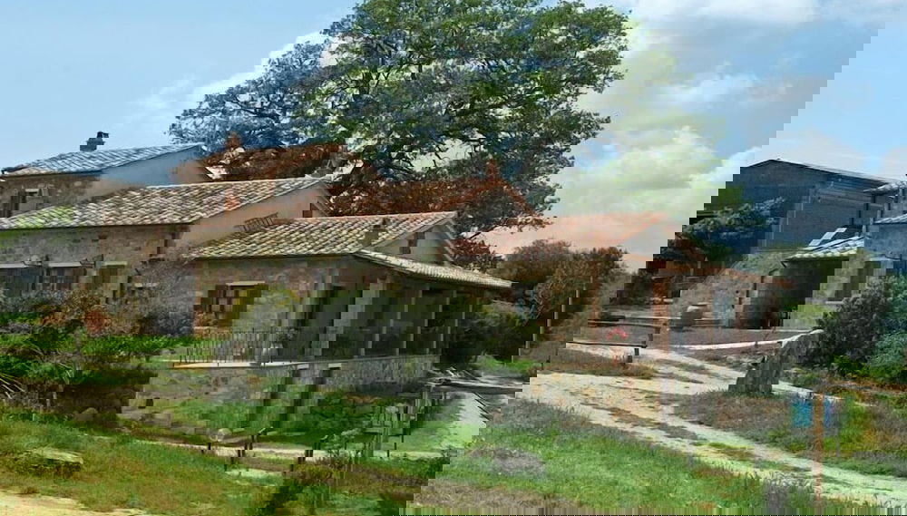 Imagem principal
