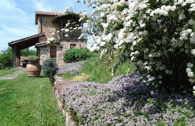 Agriturismo Casa Fibbianello - Foto 27