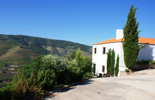 Quinta da Veiga - Foto 37