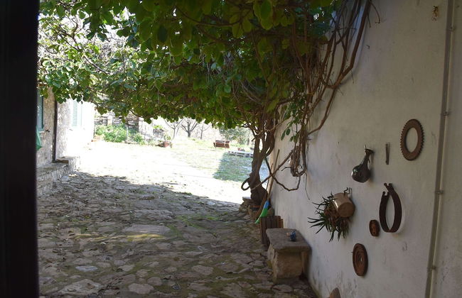 Masseria Gargaleo - Foto 18