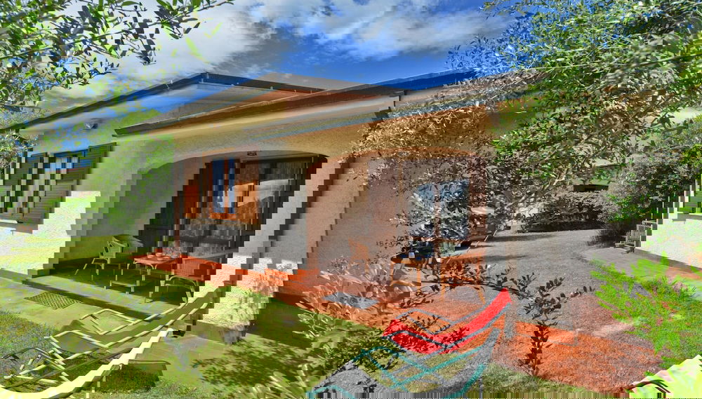 Imagem principal