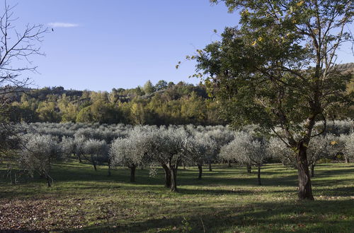 Photo 37 - Podere le Corone