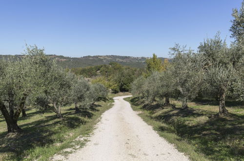 Photo 48 - Podere le Corone