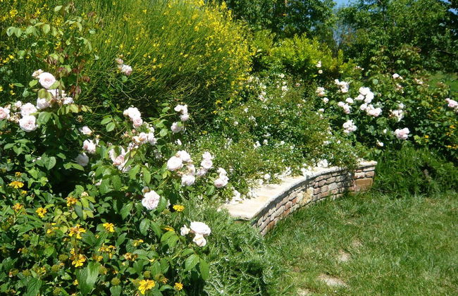 Agriturismo la Prodaia - Photo 63