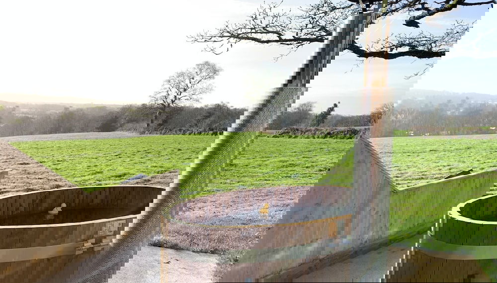Imagem principal