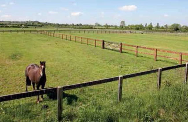 Idyllic Country Suite - Foto 36