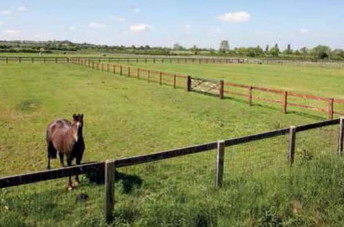 Photo 36 - Idyllic Country Suite