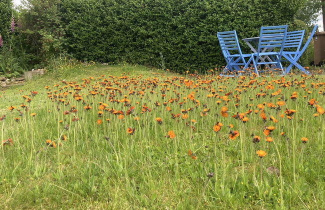 Capella Cottage, 2 Bedroom, Sleeps 4 - Foto 17