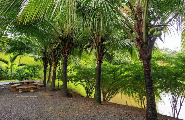 Los Lagos Casas de Campo - Foto 9