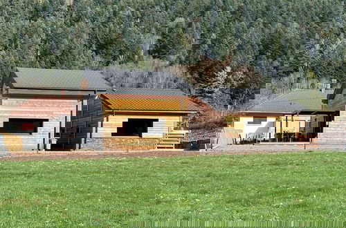 Foto 12 - Grand Perce Neige & Jacuzzi privatif