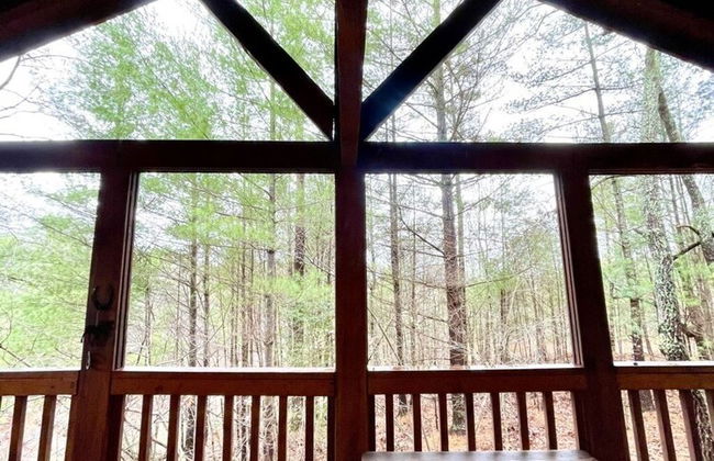Private and Perfect! - hot tub, king bed, fireplace - dog and motorcycle friendly Studio Cabin by RedAwning - Foto 21
