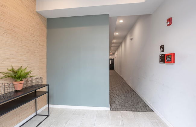 Sosuite 1BR Apt w W/d, Shared Roofdeck - Foto 6