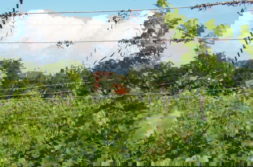 Foto 5 - Agriturismo Cascina degli Ulivi
