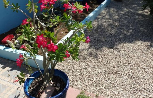 S2 BP Steps to Beach - Foto 49