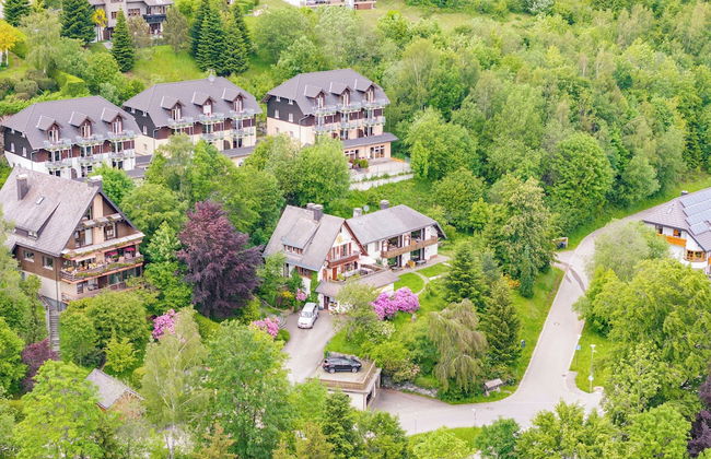 black forest apartments titisee - Foto 68