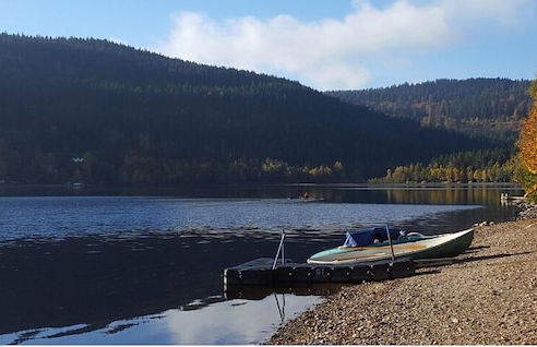 black forest apartments titisee - Foto 62